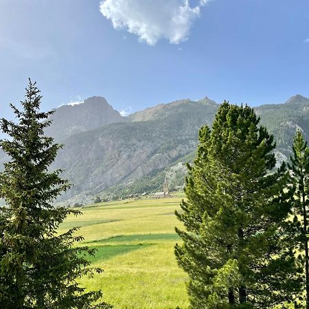 Gite Montagne 1 A 25 Places "Chalet Coste Belle" Ceillac Buitenkant foto