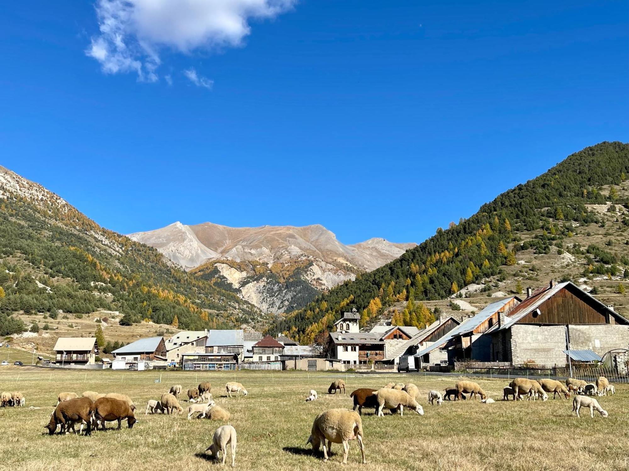 Gite Montagne 1 A 25 Places "Chalet Coste Belle" Ceillac Buitenkant foto